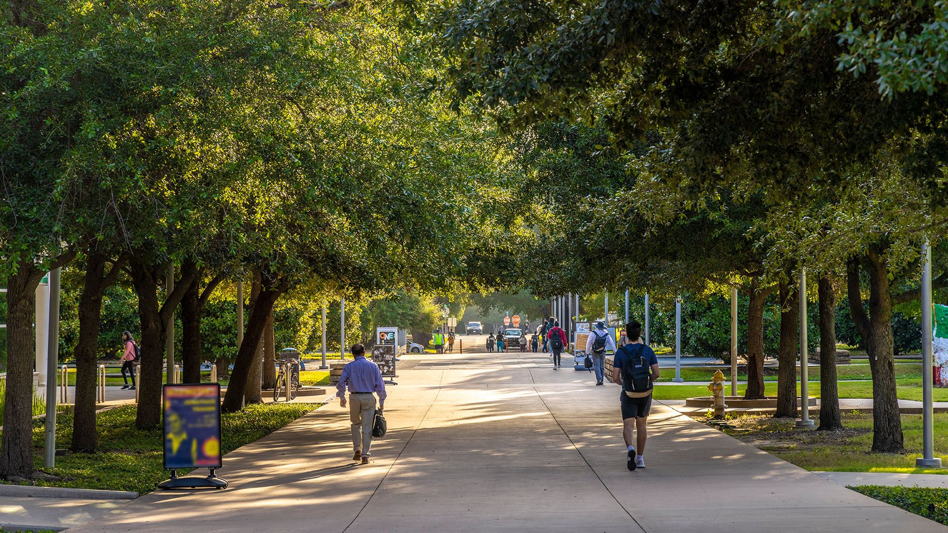 campus community walking outdoors